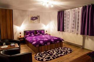 Отели типа «постель и завтрак» Pensiunea SilvAnka Vîlcele Номер Делюкс с кроватью размера «queen-size»-1