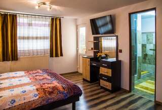 Отели типа «постель и завтрак» Pensiunea SilvAnka Vîlcele Двухместный номер Делюкс с 1 кроватью и балконом-4